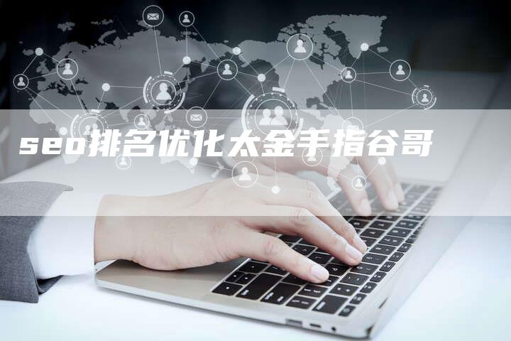 seo排名优化太金手指谷哥