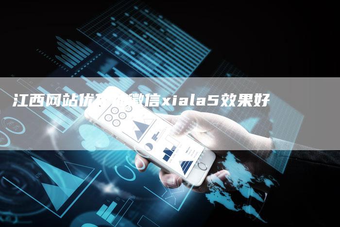 江西网站优化加徽信xiala5效果好