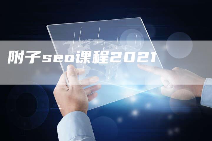 附子seo课程2021