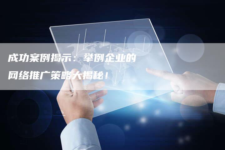 成功案例揭示：举例企业的网络推广策略大揭秘！