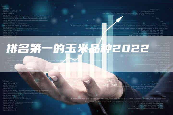 排名第一的玉米品种2022